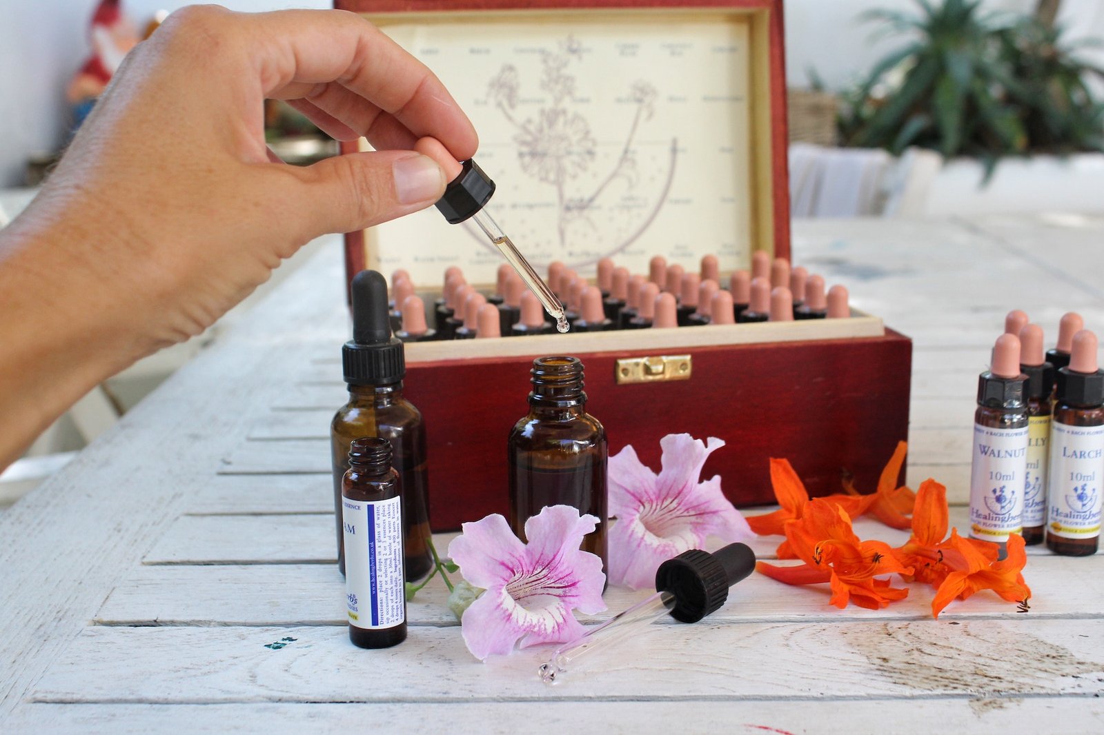 Making natural Bach flower remedies